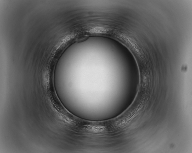 X0000101220539200806271450