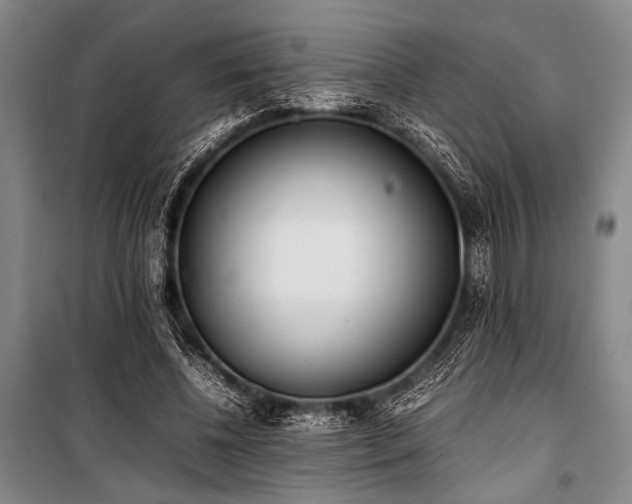 X0000101220540200806271450