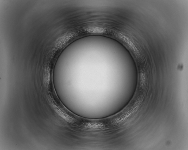 X0000101220541200806271450