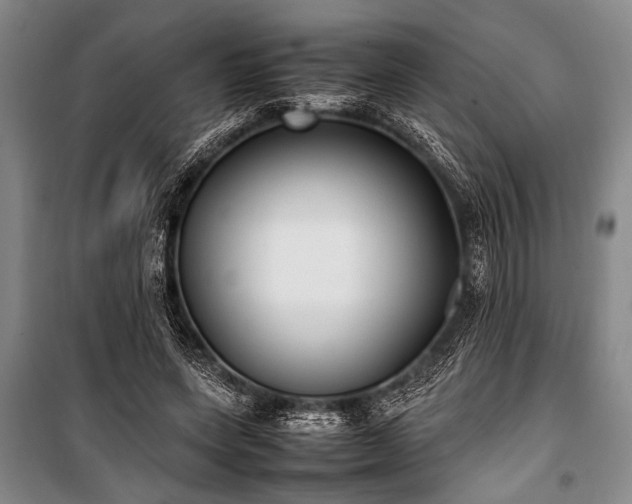 X0000101220543200806271450