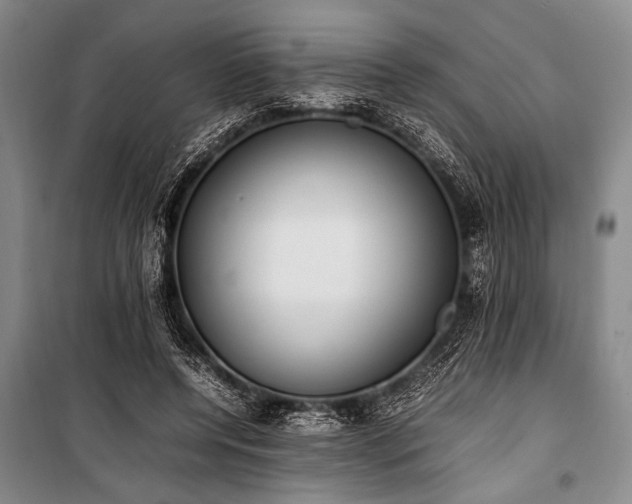 X0000101220544200806271450