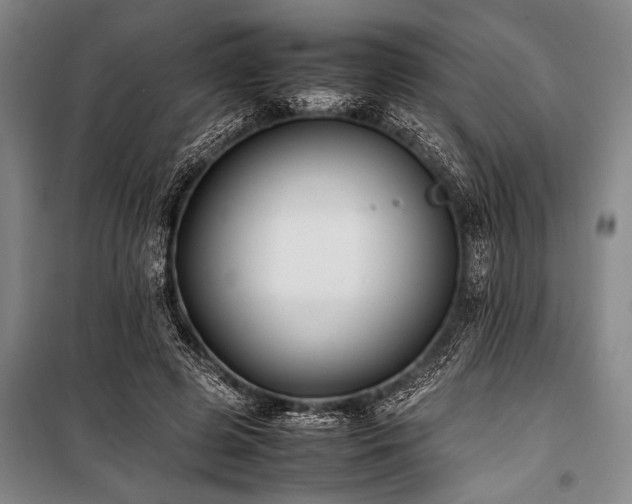 X0000101220545200806271450