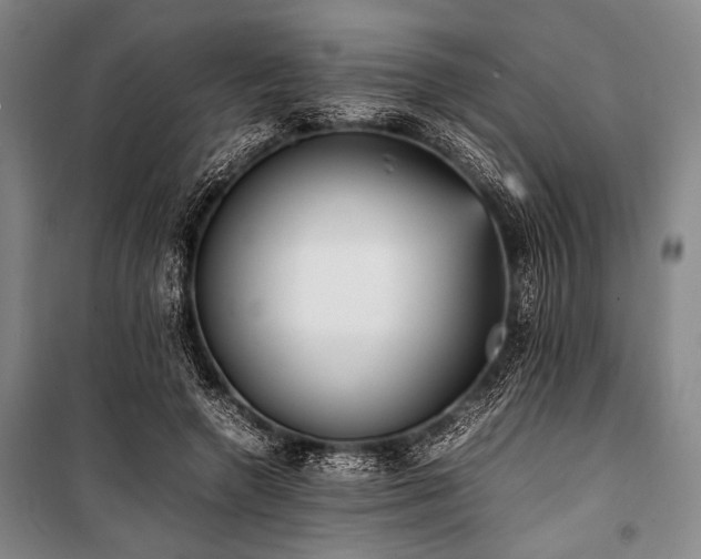 X0000101220546200806271450