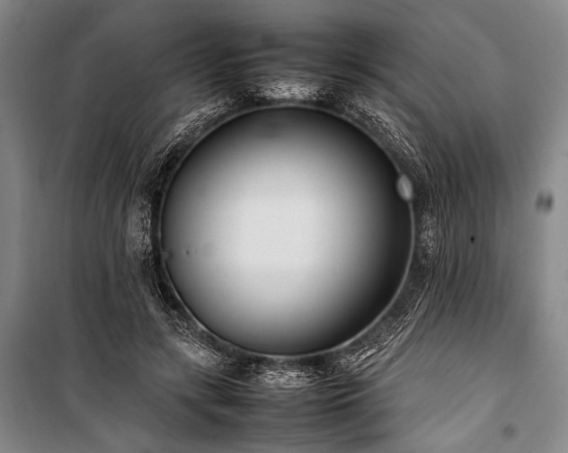 X0000101220547200806271450