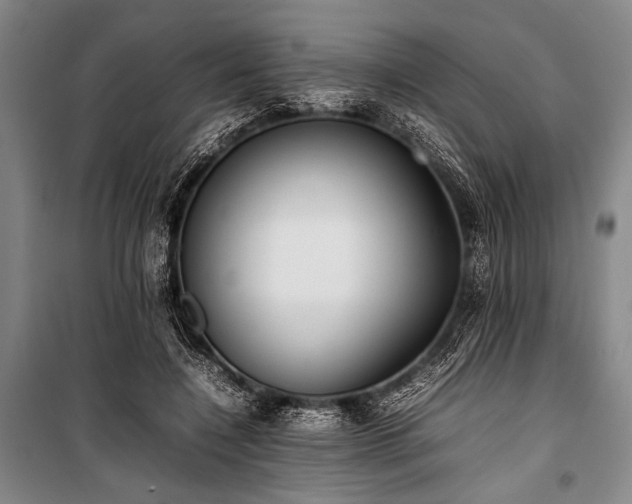 X0000101220548200806271450