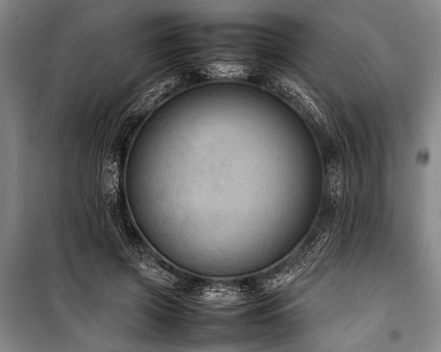X0000101220549200806271450
