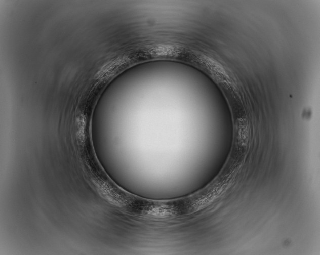 X0000101220550200806271450