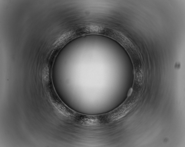 X0000101220552200806271450