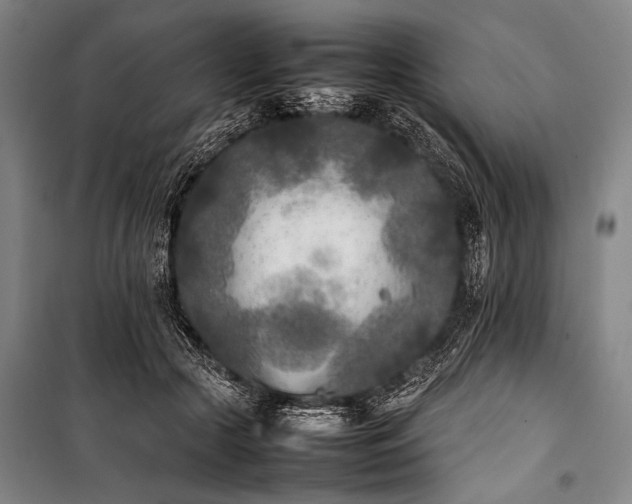 X0000101220553200806271450