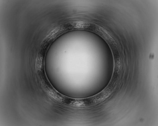 X0000101220554200806271450