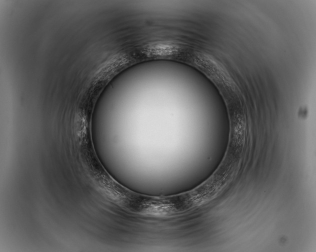 X0000101220555200806271450