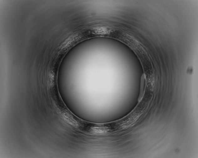 X0000101220556200806271450