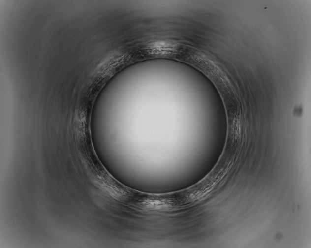 X0000101220557200806271450