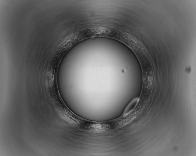 X0000101220558200806271450