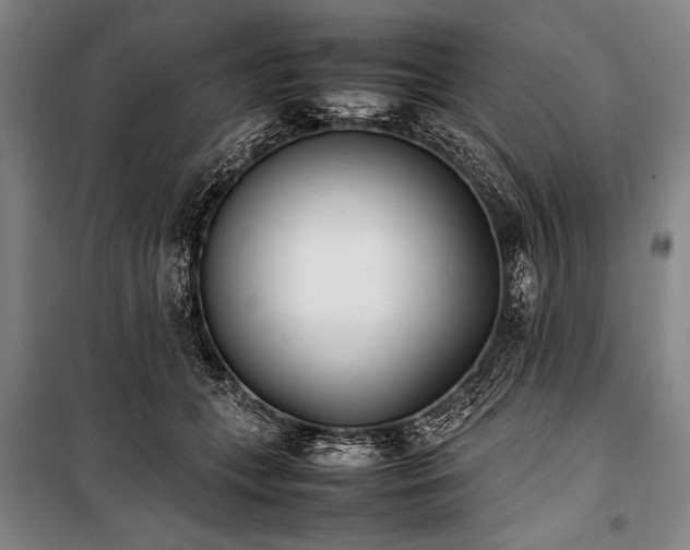 X0000101220559200806271450