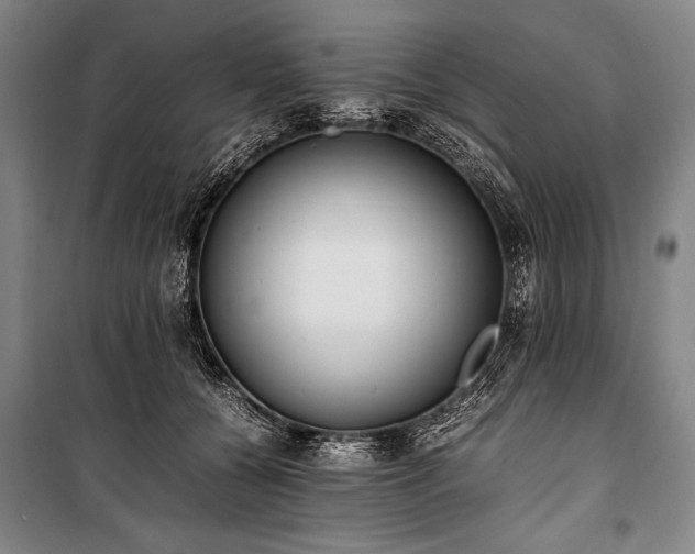 X0000101220560200806271450