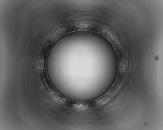 X0000101220561200806271450