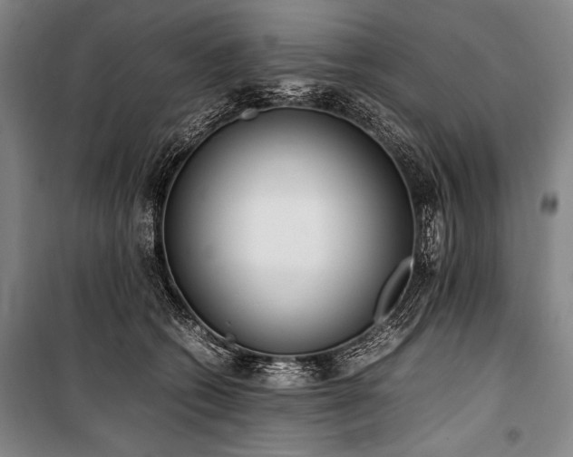 X0000101220562200806271450