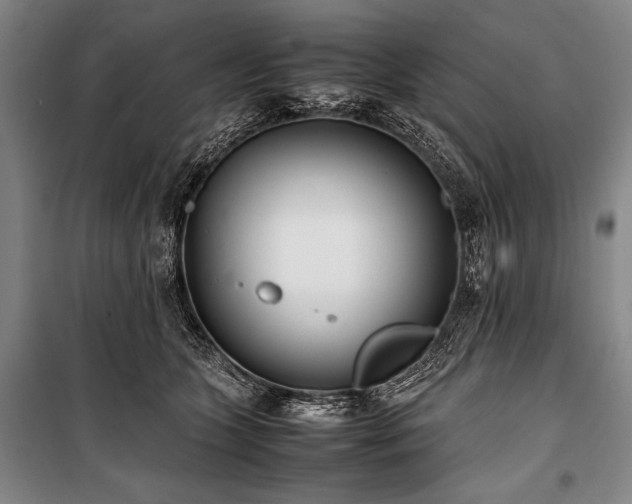 X0000101220563200806271450