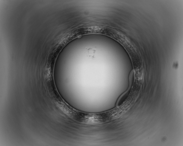 X0000101220564200806271450