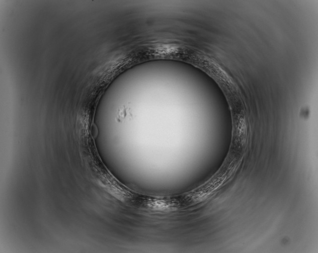 X0000101220565200806271450