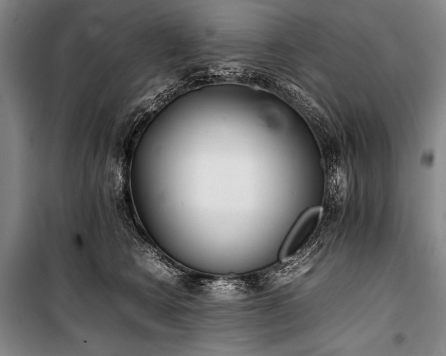 X0000101220566200806271450