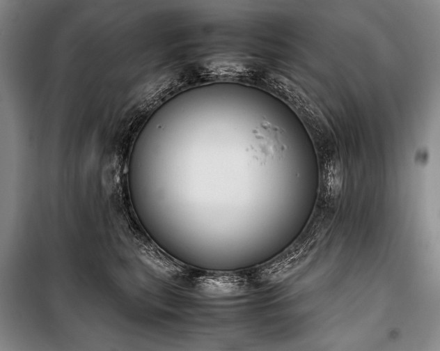 X0000101220567200806271450