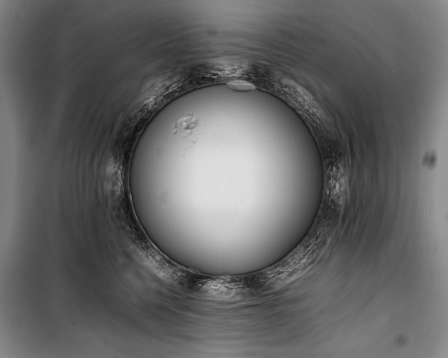 X0000101220568200806271450