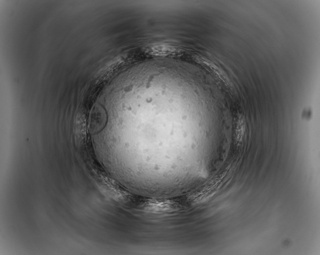 X0000101220569200806271450