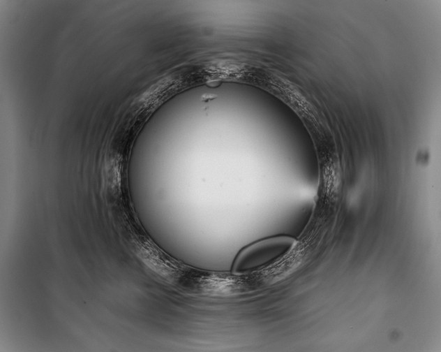 X0000101220570200806271450