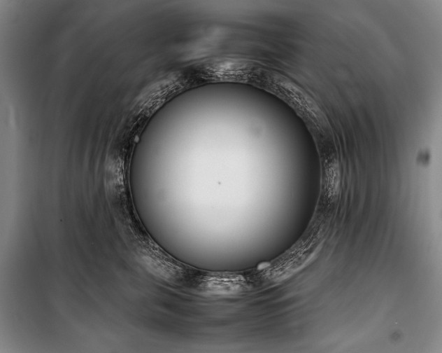X0000101220571200806271450