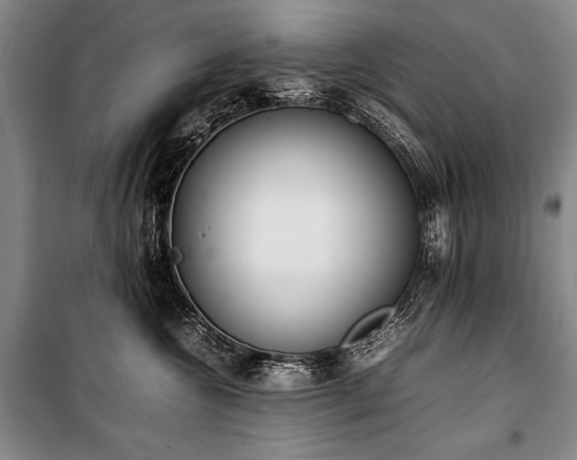 X0000101220572200806271450