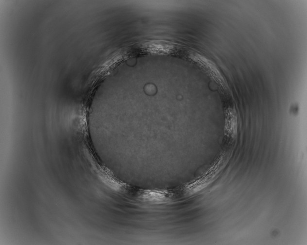 X0000101220573200806271450