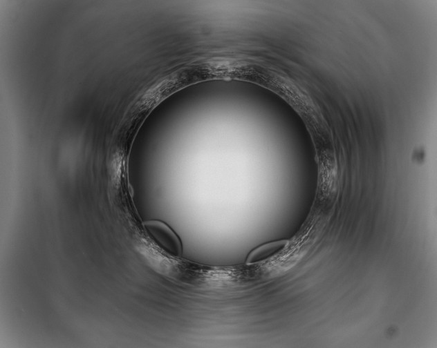 X0000101220574200806271450