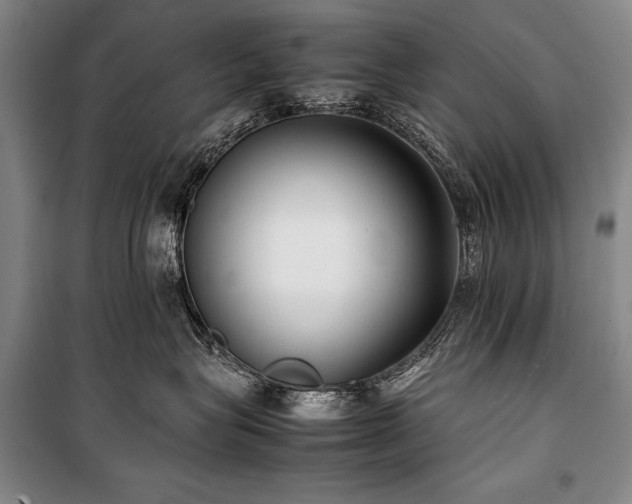 X0000101220575200806271450