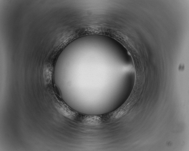 X0000101220576200806271450