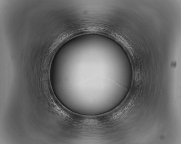 X0000101220577200806271450