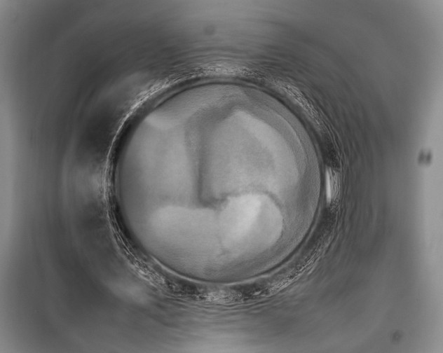 X0000101220579200806271449