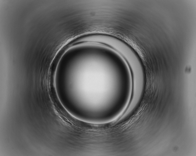 X0000101220580200806271449
