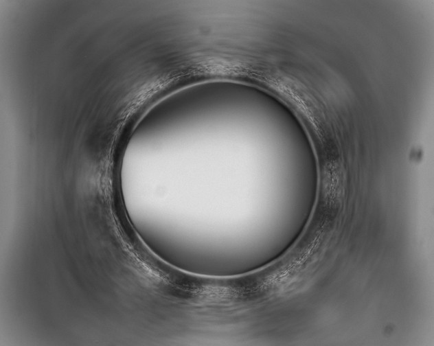 X0000101220581200806271449