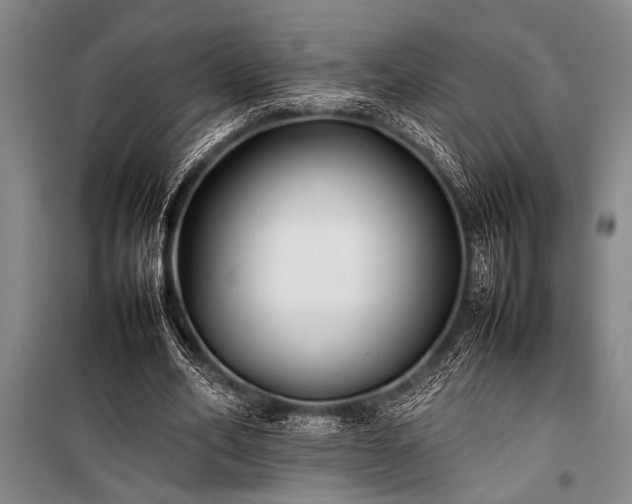 X0000101220582200806271449