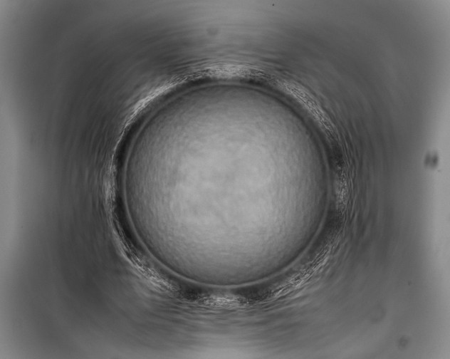 X0000101220583200806271449