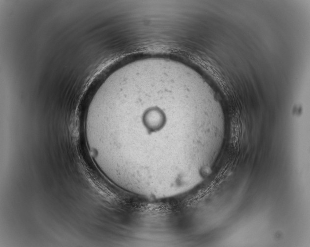 X0000101220584200806271449