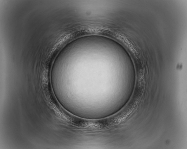X0000101220585200806271449