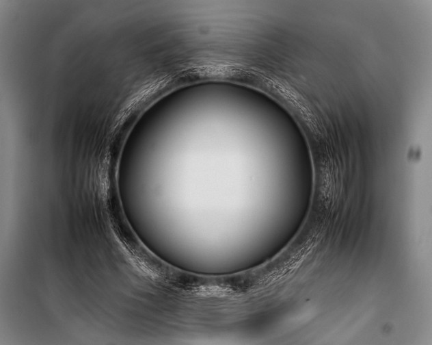 X0000101220586200806271449