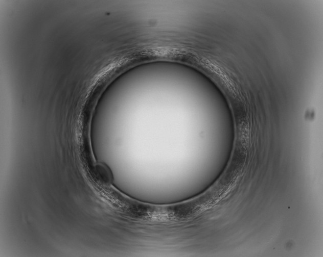 X0000101220587200806271449