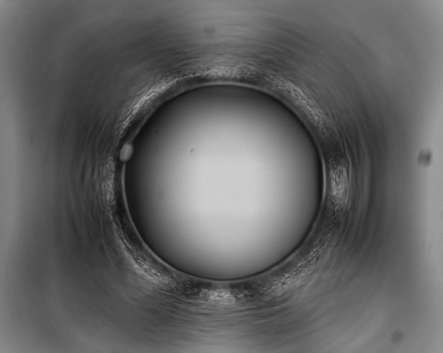 X0000101220588200806271449