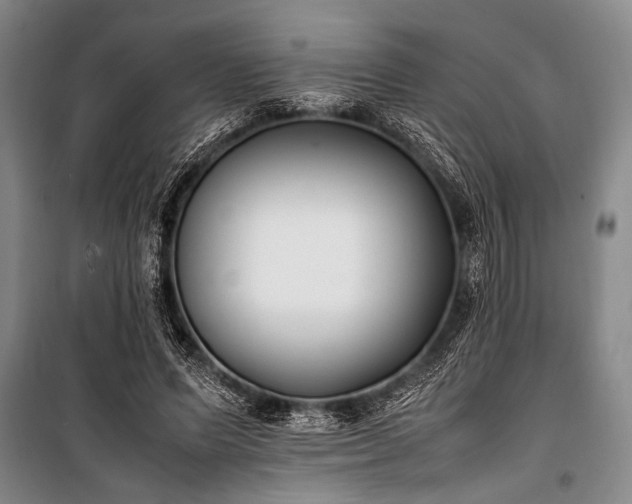 X0000101220591200806271449
