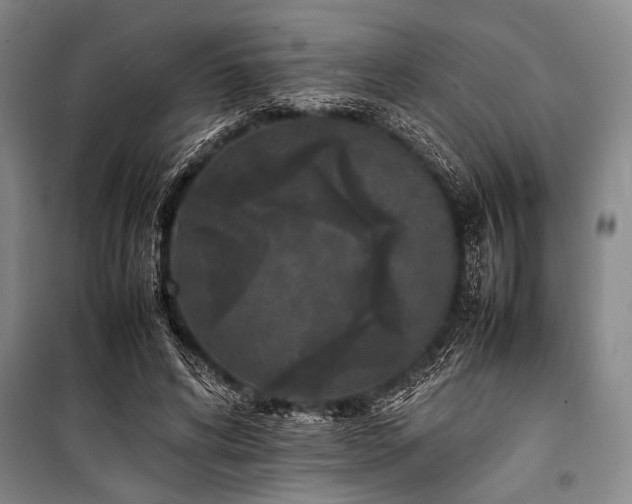 X0000101220592200806271449