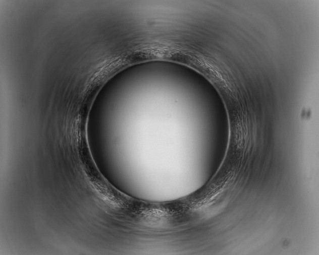 X0000101220594200806271449